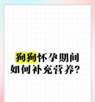 如何为狗狗补充微量元素粉（了解狗狗微量元素粉的好处及如何正确使用）