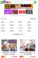 狗铺子手机版m.goupuzi.com