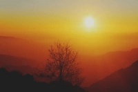 小型犬社交怎么训练，小型犬社交怎么训练的