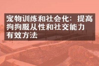 宠物训练和社会化：提高狗狗服从性和社交能力的有效方法