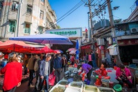 襄阳旅游必去宠物主题市场