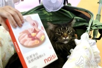 小宠物、大市场——它博会在上海激活萌宠经济新潜能