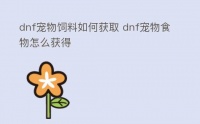 dnf宠物饲料如何获取 dnf宠物食物怎么获得