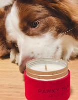 宠物香薰:在芬芳与安全间找到平衡的嗅觉哲学