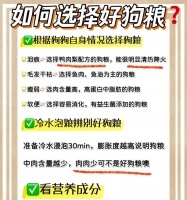 小型犬狗粮消耗:五斤能吃多久?会否导致健康问题?