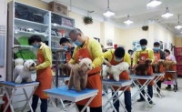 长沙宠物培训学校哪个好