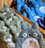 龙猫的出没时间及习性揭秘(龙猫的活动规律和行为习惯解析,让你更了解宠物小龙猫)