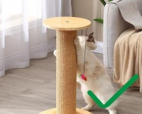 猫咪为什么喜欢挠沙发?(解析猫咪挠沙发的原因及如何解决)