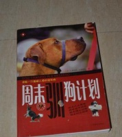 训狗的最佳时机及方法(解析训狗的最佳时机和有效方法,帮助主人轻松训练宠物狗)