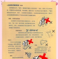 猫不吃东西的原因解析(探究猫不吃东西的背后原因及解决方法)