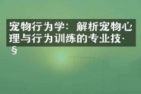宠物行为学:解析宠物心理与行为训练的专业技巧
