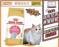 英国短毛猫的饮食习惯与起腮行为(解析英国短毛猫的饮食需求和起腮行为背后的奥秘)