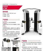饲养鹞鹰的全面指南(关注饲养环境,打造健康鹞鹰)宠物屋