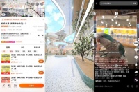 “超级鸟局”被指分店闭店遗留上百只动物:去年融资千万连开4店