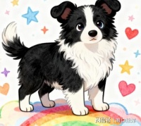 品种专用狗粮哪个比较好?选这5个不会出错