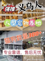 义乌买宠物猫狗哪里便宜?这里安全可靠还能实地选宠物不虚此行