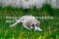 狗狗吃什么比较好?营养均衡的饮食推荐与注意事项