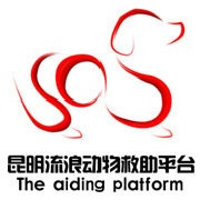 昆明流浪动物救助平台...