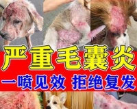 狗狗屁屁湿疹的原因及治疗方法(了解狗狗屁屁湿疹的原因,掌握正确治疗方法,让宠物远离疼痛)
