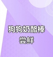 狗狗补钙食物大全(为宠物狗提供均衡营养,助其健康成长)