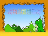 动物的繁殖.ppt