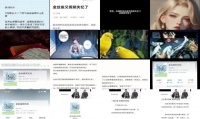 金丝雀失忆后笔趣阁