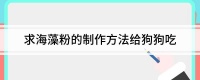 求海藻粉的制作方法给狗狗吃