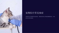 《宠物医疗常见病症》课件