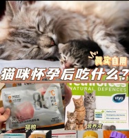 20天小猫的饮食需求和建议(宝宝猫咪的健康成长全靠良好饮食)