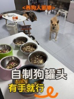 养宠人也有自己的邪修,懒人版自制狗罐头,有手就行