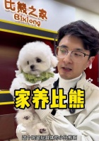 母比熊的怀孕周期及分娩过程揭秘(了解母比熊的孕育奇迹,尽享甜蜜的孕育之旅)