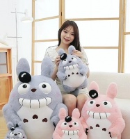 丝绒龙猫——小巧可爱的宠物伴侣(探索丝绒龙猫的独特魅力与养护技巧)