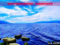 带狗去云南旅游住宿好吗现在,住宿费用和注意事项