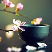 每天吃多少动物性食物好？