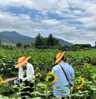 静静亦动动：那只站在人肩上的鹦鹉鸟

那天去南山下游玩，在花田里拍照，看到一只宠物鸟鹦鹉站在主人的肩膀上，自成风景。
那位主人热情介绍说，这鸟早晨会问好，喂食还说谢谢，还会认家人，叫名字…看得出，主人为此挺自豪。

听此，我心中涌出一丝淡淡的惆怅。想它鸟身美丽，会说鸟语，还能说人话，是一只学习能力强的聪明鸟，能给人提供妥妥的情绪价值，有傍依肩头受宠的资本。

话说，面它汗颜，人不如鸟儿。曾经学过的...