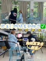 南京最大的宠物市场在哪里？这里实体店选购宠物，安全更值得信赖