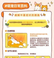 狗狗中暑的温度及预防措施(狗狗中暑的危害与救护方法)