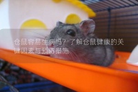 仓鼠容易生病吗?了解仓鼠健康的关键因素与预防措施