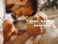養狗須知:最多新手飼養需要的狗狗訓練