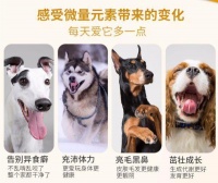 如果狗狗出现这5大现象,那就说明它急需补充“微量元素”了