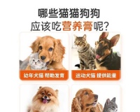选择营养膏,给狗狗最好的呵护(探寻狗狗营养膏市场,了解哪个牌子最好)