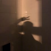 狗狗挑食怎么办?自制...