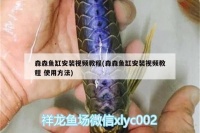 森森牌鱼缸使用说明书:森森牌鱼缸日常维护技巧分享森森牌鱼缸使用说明书