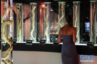 走进泰国曼谷蛇类博物馆