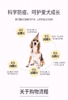 纯血统柴犬宠物店品种血统
