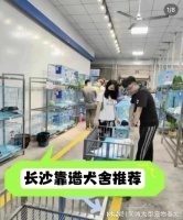 长沙买宠物在哪里买比较好?这里买宠物放心还能去实体店挑选宠物