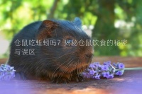 仓鼠吃蚯蚓吗？揭秘仓鼠饮食的秘密与误区