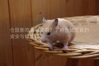 仓鼠能吃香蕉皮吗？了解仓鼠饮食的安全与健康知识