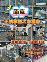 南京宠物猫狗在哪里买靠谱？这儿有实体店 可选，放心大胆挑吧