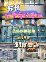 苏州宠物猫狗在哪里买靠谱？这儿有实体店 可选，放心大胆挑吧